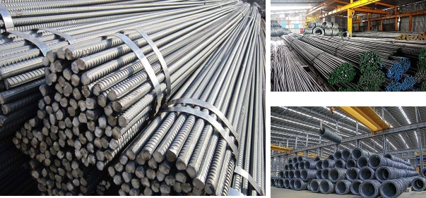 Hệ thống 10 nhà máy